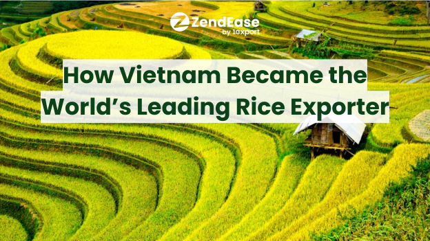 How Vietnam Became the World’s Leading Rice Exporter