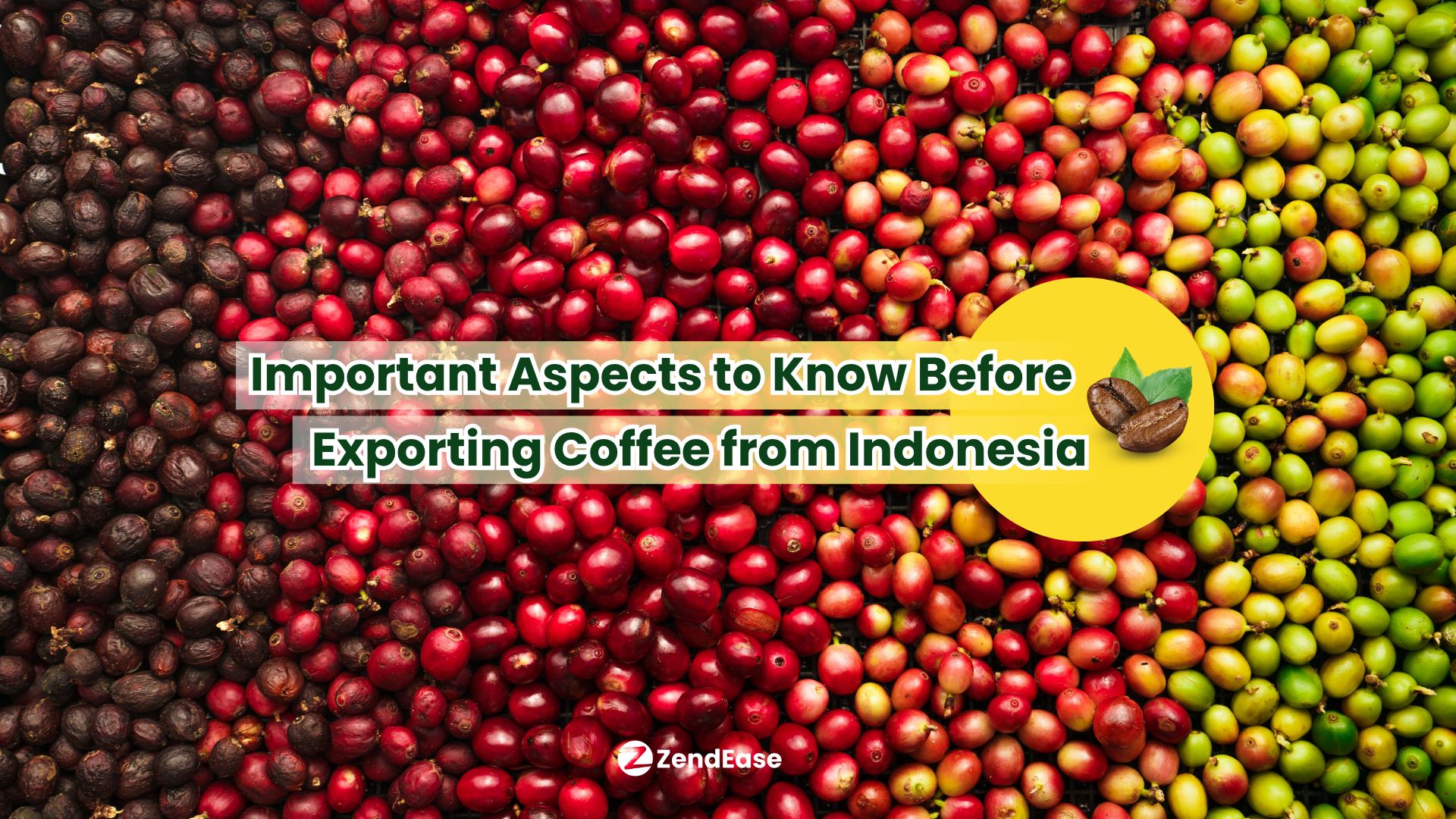 Important Aspects to Know Before Exporting Coffee from Indonesia
